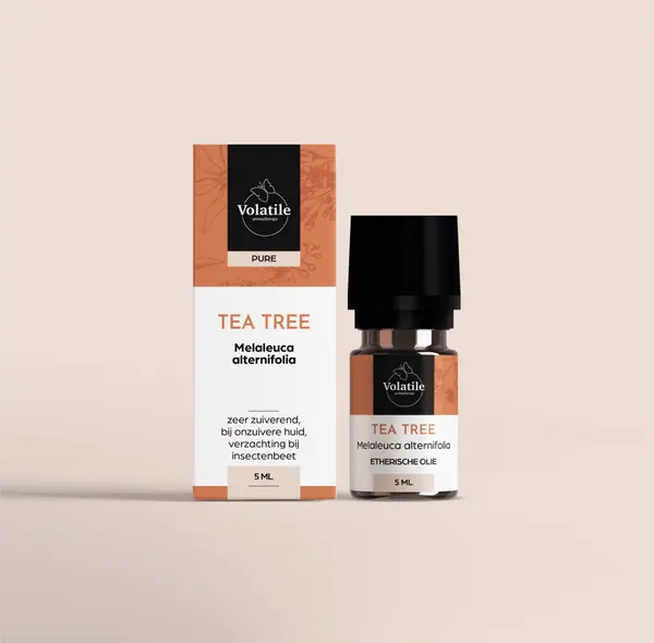 Tea tree (Melaleuca alternifolia)