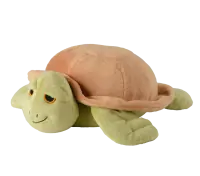 Zeeschildpad
