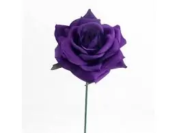 Purple Rose Facescrub