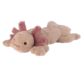 Axolotl