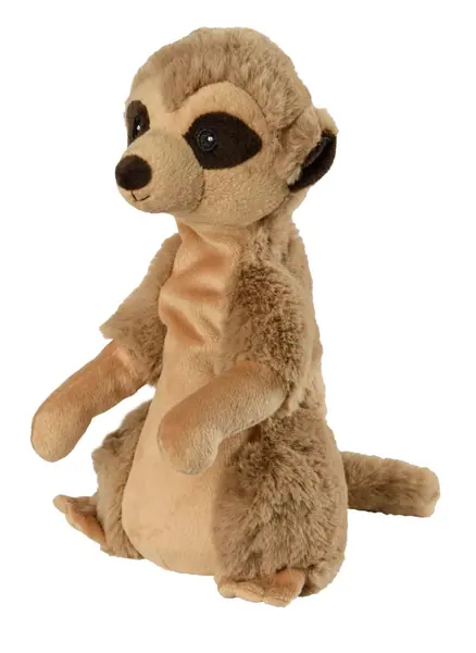 Stokstaartje