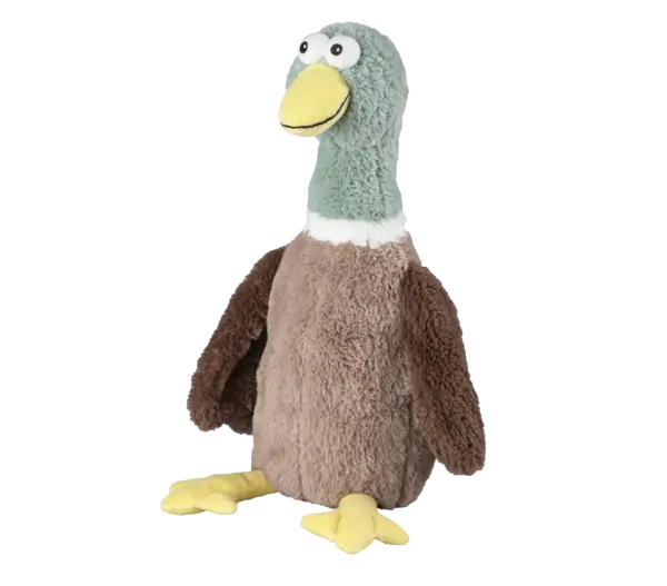 Eend