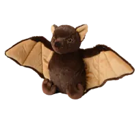 Vleermuis