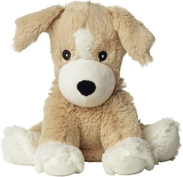 Hond Puppy