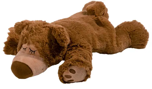 Sleepy beer bruin