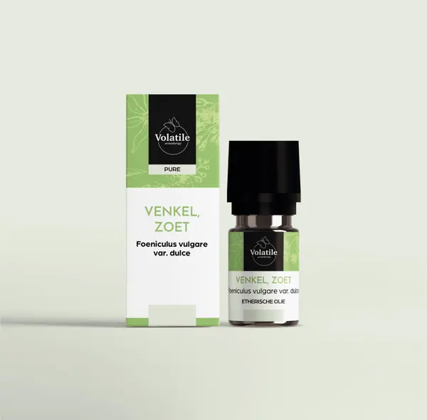 Venkel zoet (Foeniculus vulgare var. dulce)