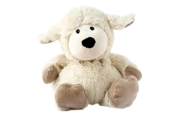 Schaap lavendi