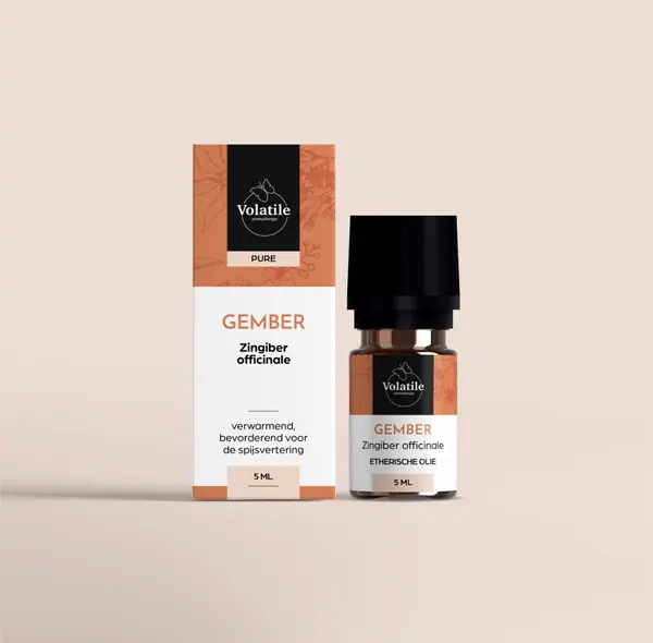 Gember (Zingiber officinale)