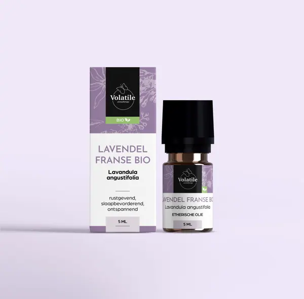 Lavendel Franse bio (Lavandula angustifolia)