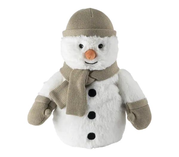Sneeuwpop