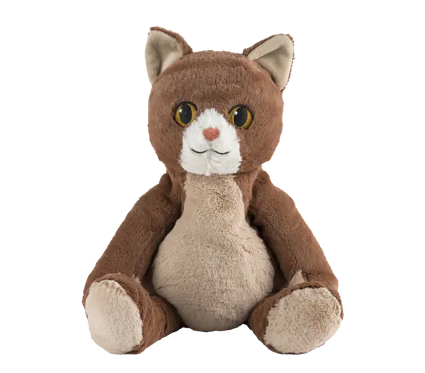 Zittende kat