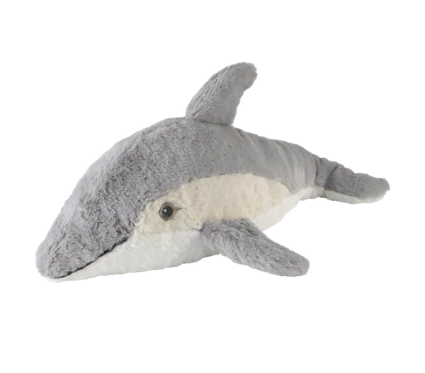 Dolfijn