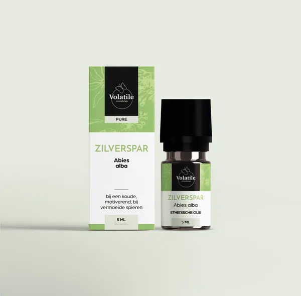 Zilverspar (Abies alba)