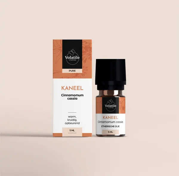 Kaneel (Cinnamomum cassia)